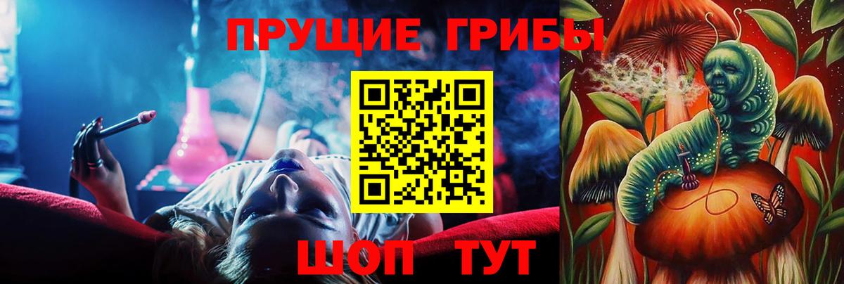 Кунгур  Псилоцибиновые грибы мицелий  Вход с VPN 